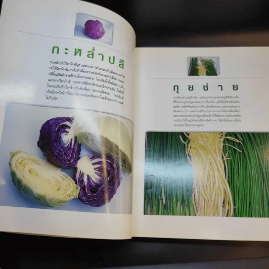 มหัศจรรย์ผัก 108 รูปที่ 17