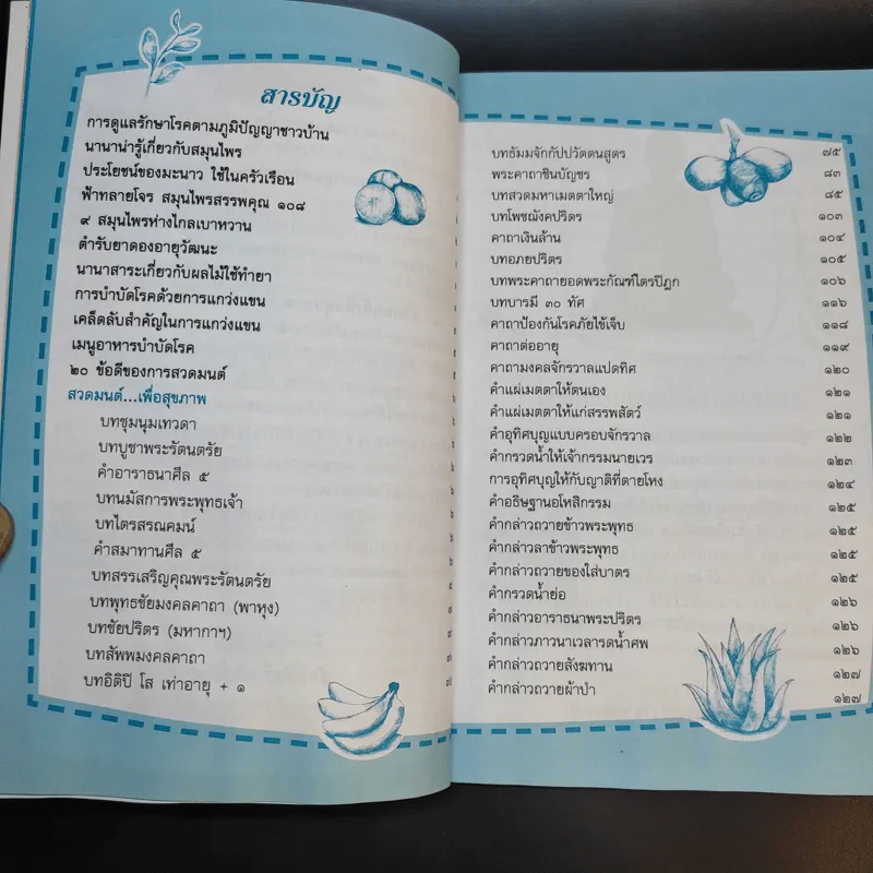 รักษากายด้วยสมุนไพร รักษาใจด้วยสวดมนต์ - ศักดิ์สิทธิ์ พันธุ์สัตย์ รูปที่ 11