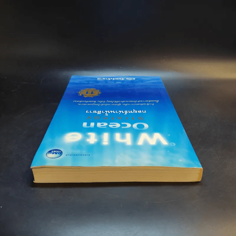 White Ocean Strategy กลยุทธ์น่านน้ำสีขาว - ดนัย จันทร์เจ้าฉาย รูปที่ 6