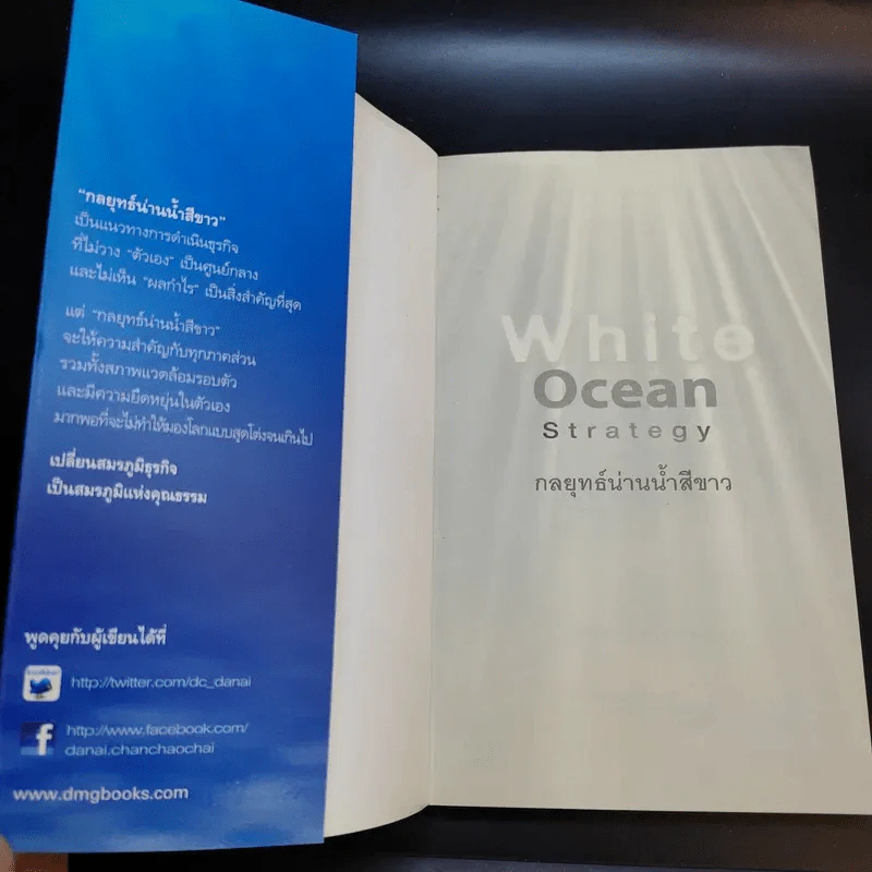 White Ocean Strategy กลยุทธ์น่านน้ำสีขาว - ดนัย จันทร์เจ้าฉาย รูปที่ 8