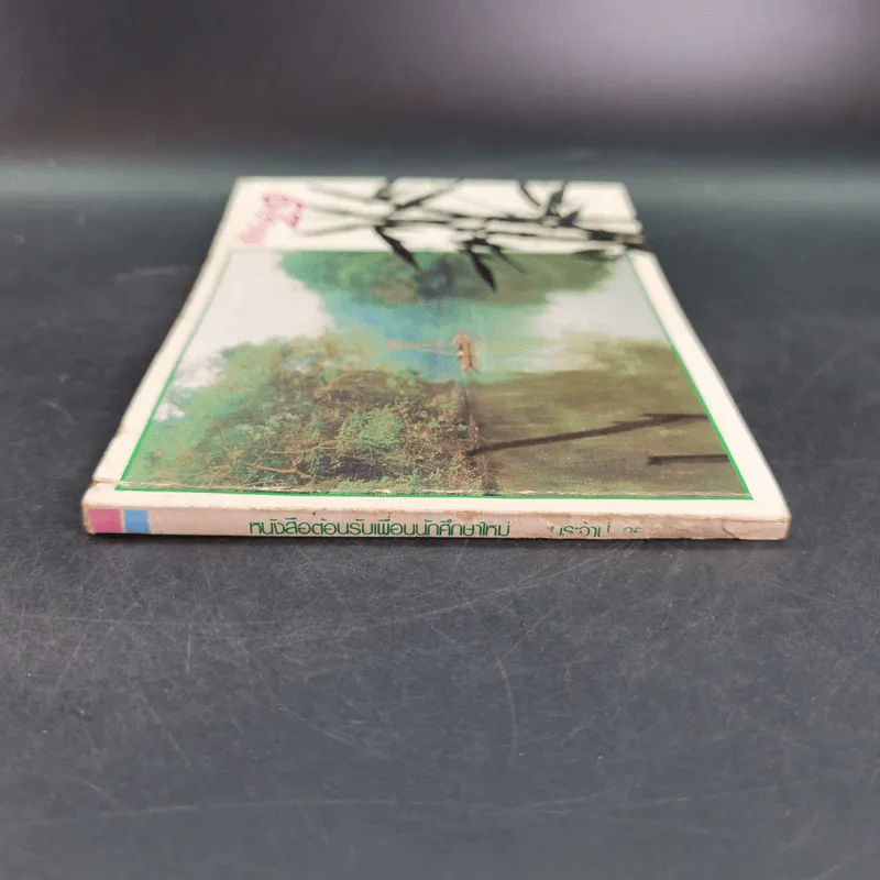 เพื่อน'29 หนังสือต้อนรับเพื่อนนักศึกษาใหม่ ประจำปี 2529 มหาวิทยาลัยรามคำแหง รูปที่ 3