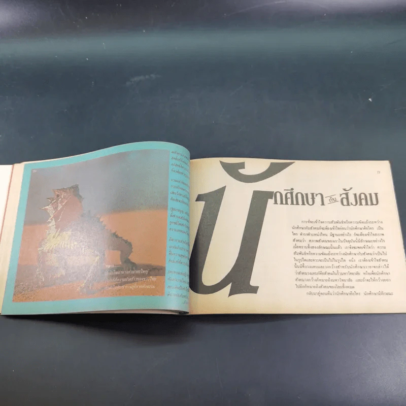 เพื่อน'29 หนังสือต้อนรับเพื่อนนักศึกษาใหม่ ประจำปี 2529 มหาวิทยาลัยรามคำแหง รูปที่ 12