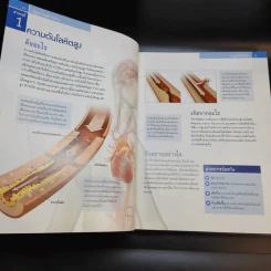 ชีวิตปลอดโรค - Reader's Digest รีดเดอร์สไดเจสท์ รูปที่ 14