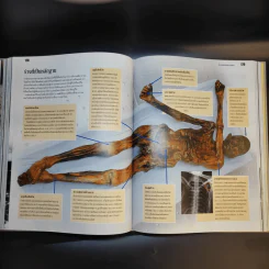 เรื่องจริงนอกบันทึกประวัติศาสตร์ - Reader's Digest รีดเดอร์สไดเจสท์ รูปที่ 15