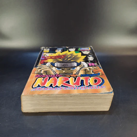 Naruto นินจานารูโตะ เดอะมูฟวี่ : ศึกชิงจ้าวหญิงหิมะ รูปที่ 4