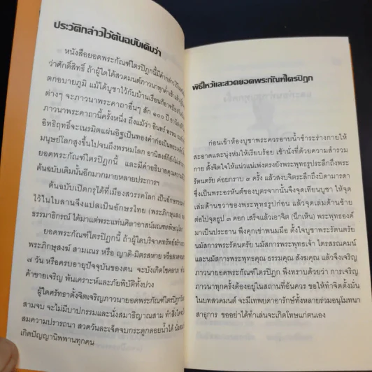 เสบียงทิพย์ รูปที่ 10