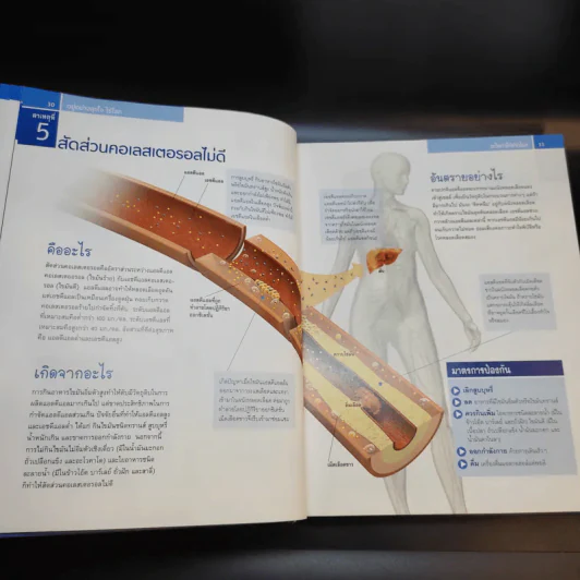ชีวิตปลอดโรค - Reader's Digest รีดเดอร์สไดเจสท์ รูปที่ 17