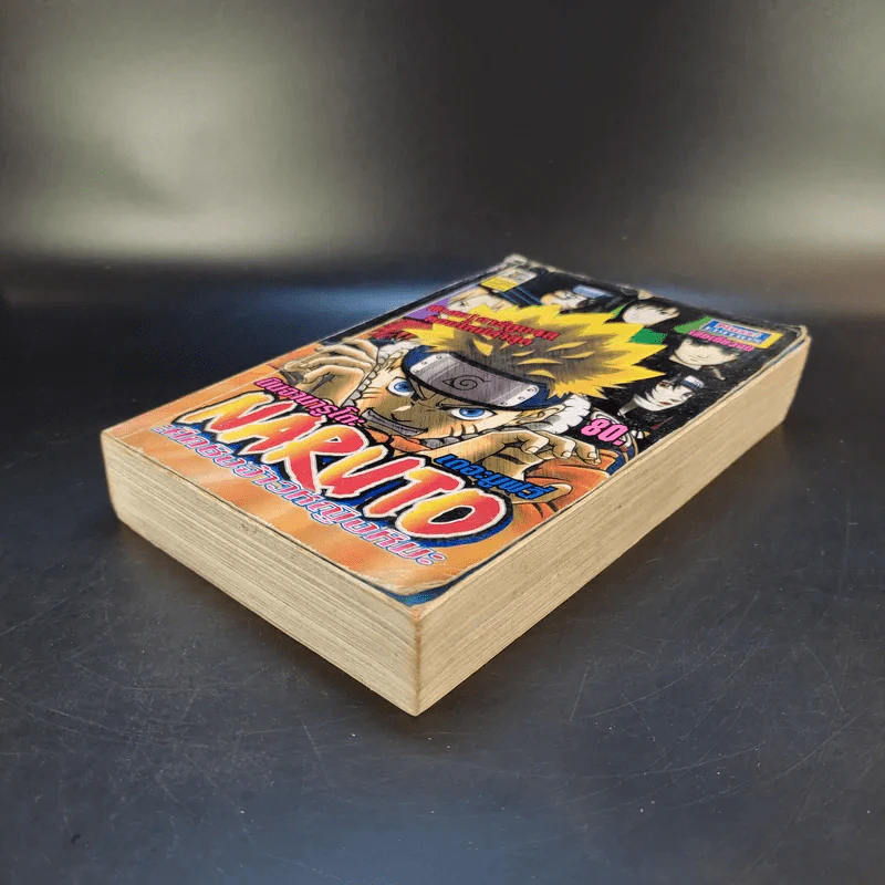 Naruto นินจานารูโตะ เดอะมูฟวี่ : ศึกชิงจ้าวหญิงหิมะ รูปที่ 8