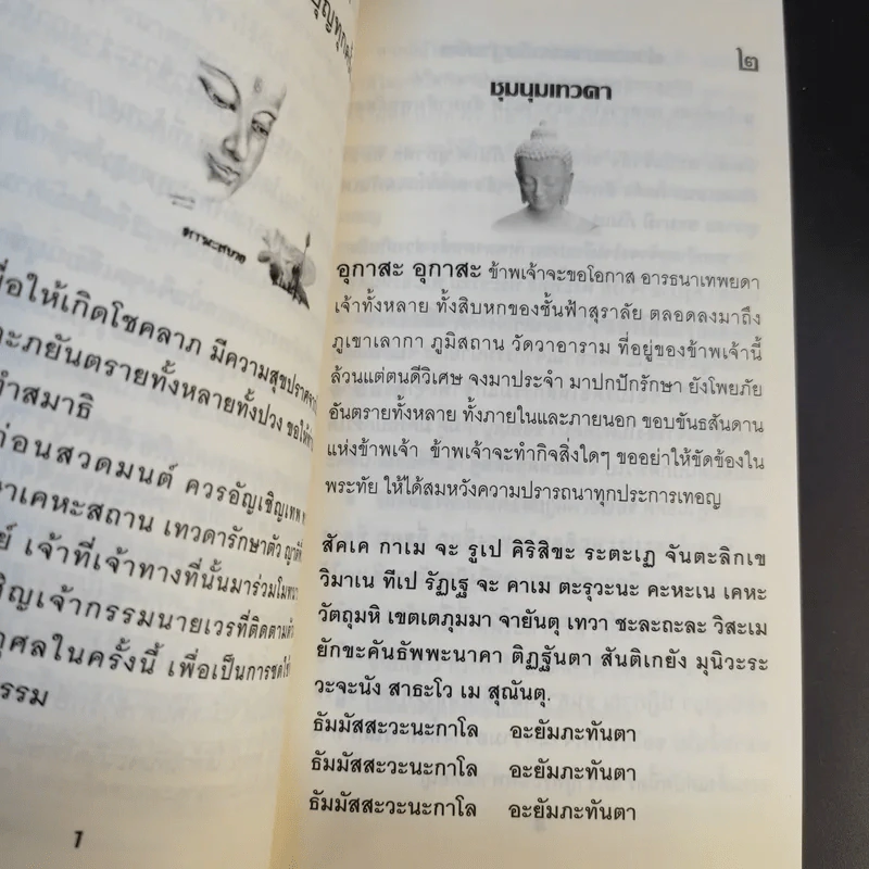 เสบียงทิพย์ รูปที่ 11
