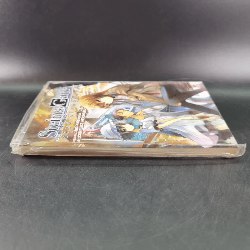 Steins;Gate ฝ่าวิกฤตพิชิตกาลเวลา : อลหม่านโลกคู่ขนาน รูปที่ 3