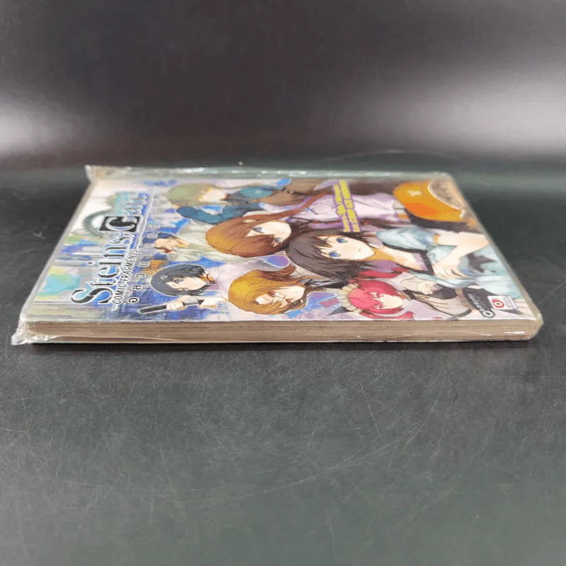 Steins;Gate ฝ่าวิกฤตพิชิตกาลเวลา : อลวนโลกต่างมิติ รูปที่ 3