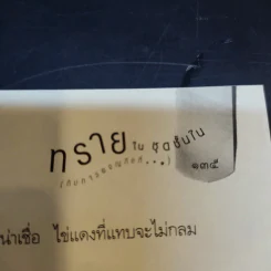 ทรายในชุดชั้นใน (กับการผจญภัยที่...) - เจนนิเฟอร์ แอล. ลีโอ รูปที่ 12