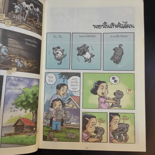 โต๋เต๋ - เรืองศักดิ์ ดวงพลา รูปที่ 12
