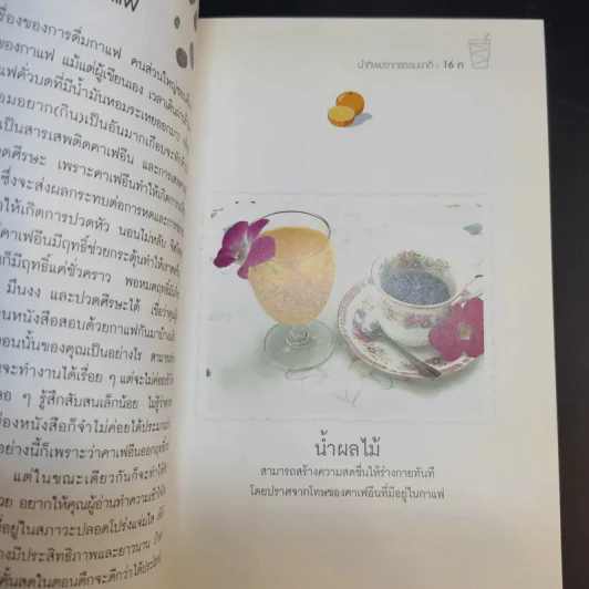 น้ำทิพย์จากธรรมชาติ ทางลัดเพื่อสุขภาพ จากผักและผลไม้ รูปที่ 11