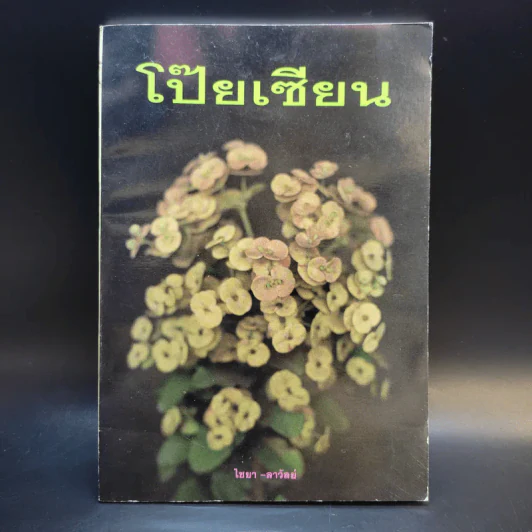 โป๊ยเซียน - ไชยา-ลาวัลย์ รูปที่ 1
