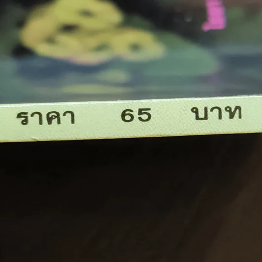 โป๊ยเซียน - ไชยา-ลาวัลย์ รูปที่ 12