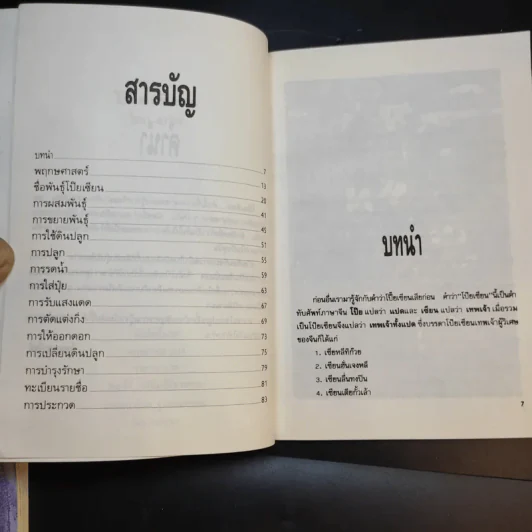 โป๊ยเซียน - ไชยา-ลาวัลย์ รูปที่ 9