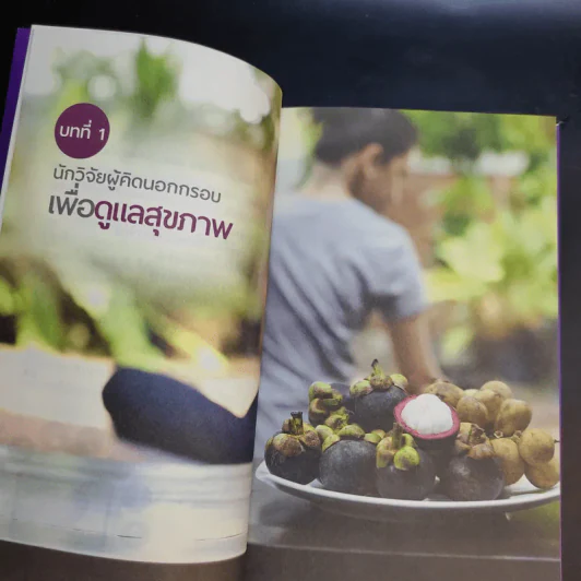 ภูมิสมดุลเพื่อสุขภาพ - ศาสตราจารย์ ดร.พิเชษฐ์ วิริยะจิตรา ผู้เล่าเรื่อง, นิรันดร์ พวงสุข เรียบเรียง รูปที่ 12