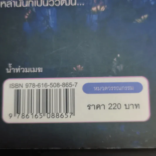 น้ำท่วมเมฆ - กฤษณา อโศกสิน รูปที่ 15