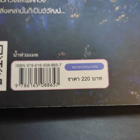 น้ำท่วมเมฆ - กฤษณา อโศกสิน รูปที่ 15