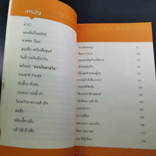 สองพยัคฆ์นักสู้ผู้พิชิต รูปที่ 13