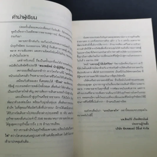 สองพยัคฆ์นักสู้ผู้พิชิต รูปที่ 11