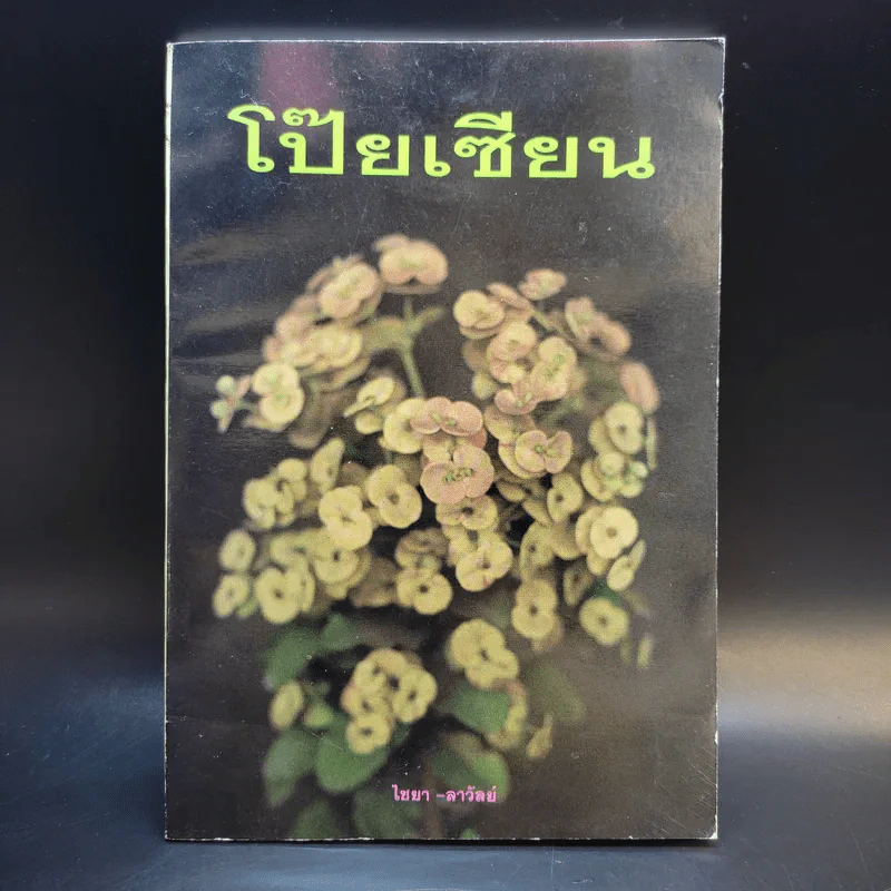 โป๊ยเซียน - ไชยา-ลาวัลย์ รูปที่ 1