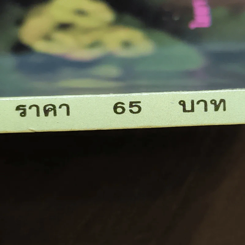โป๊ยเซียน - ไชยา-ลาวัลย์ รูปที่ 12