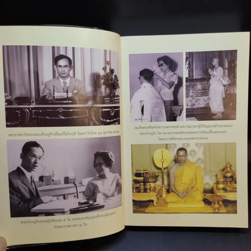 60 ปี พระเจ้าอยู่หัวครองราชย์ 100 ปี พระพุทธทาสครองธรรม - วรทัศน์ วัชรวลี รูปที่ 14