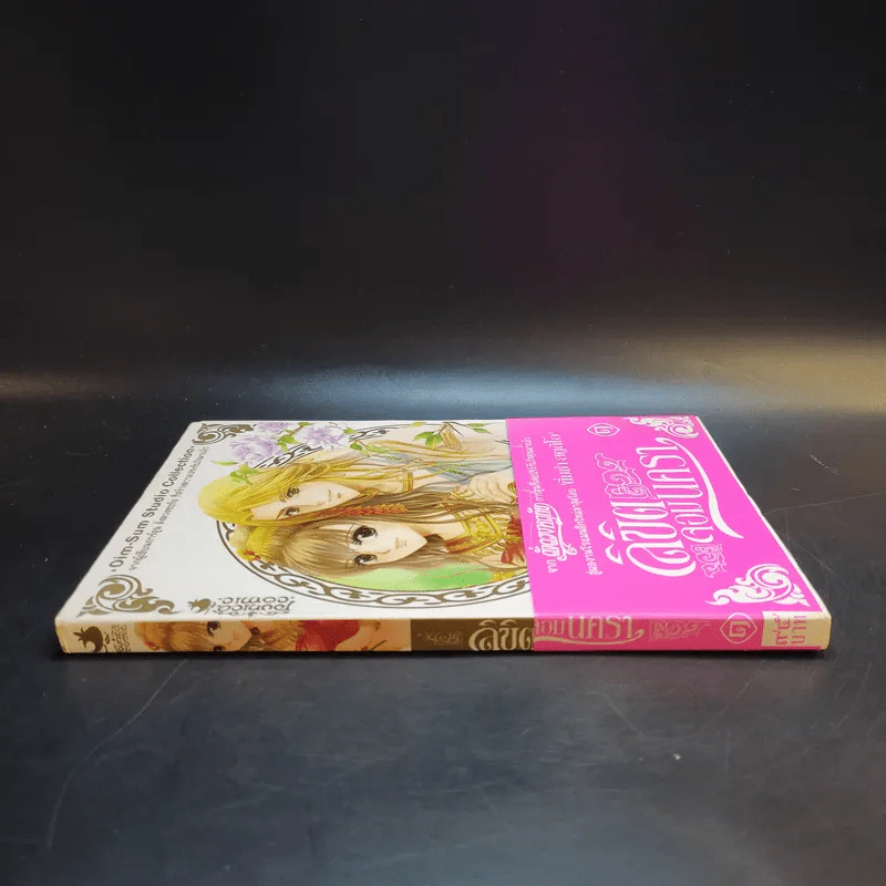 ลิขิตจอมนครา เล่ม 1 รูปที่ 3