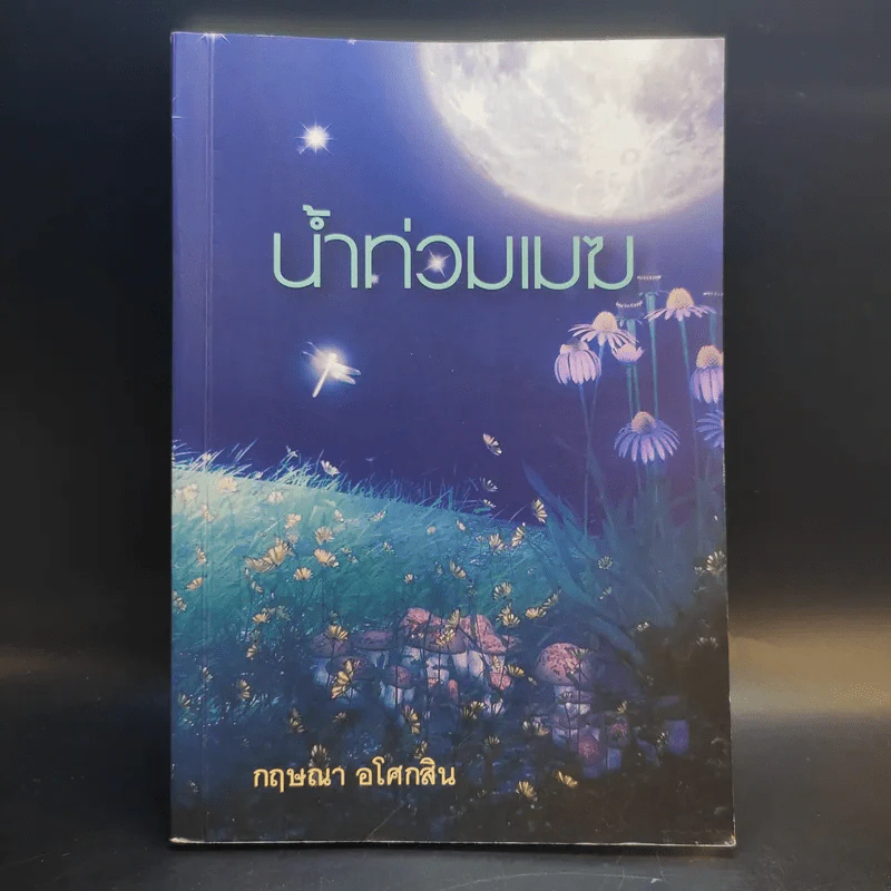 น้ำท่วมเมฆ - กฤษณา อโศกสิน รูปที่ 1