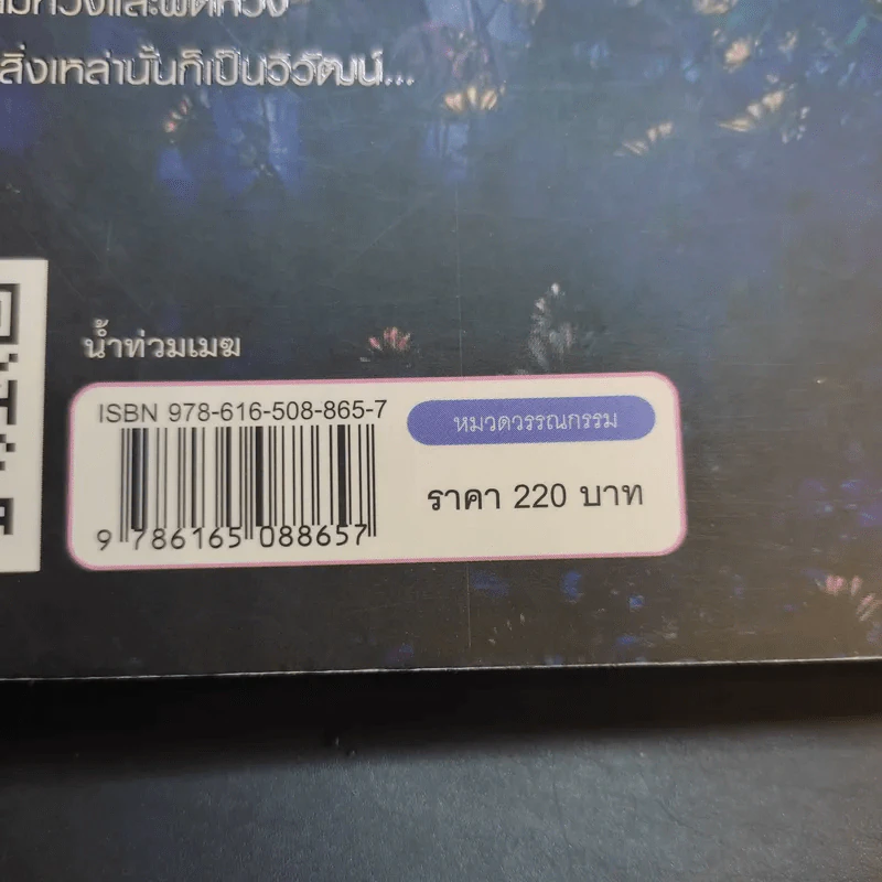 น้ำท่วมเมฆ - กฤษณา อโศกสิน รูปที่ 15