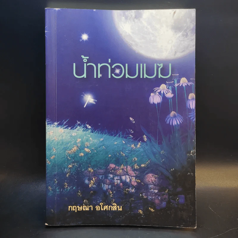 น้ำท่วมเมฆ - กฤษณา อโศกสิน รูปที่ 1