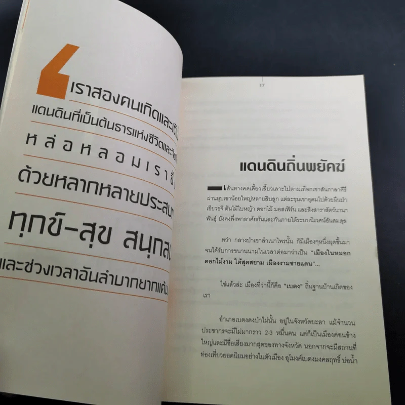 สองพยัคฆ์นักสู้ผู้พิชิต รูปที่ 14