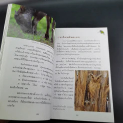 สารานุกรมไทยสำหรับเยาวชน เล่ม 7 รูปที่ 13