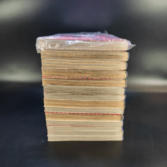 บ้านพักอลเวง 14 เล่มจบ รูปที่ 5