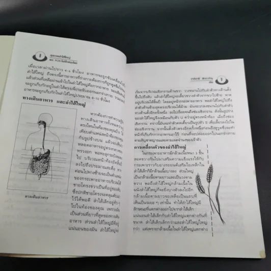 อึบอกชะตา อุจจาระวิทยาการล้างพิษลำไส้ บทบาทใหม่โอลิโกฟรุกโตส - FOS - ปาริชาติ สักกะทำนุ รูปที่ 11