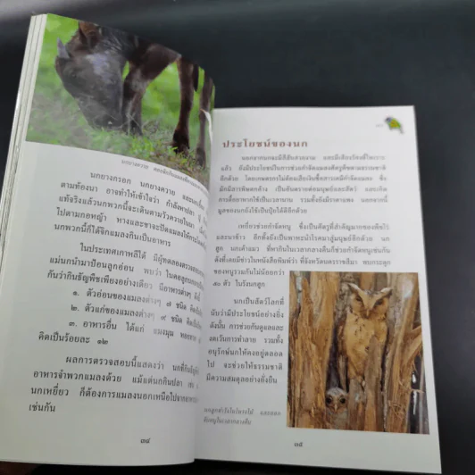 สารานุกรมไทยสำหรับเยาวชน เล่ม 7 รูปที่ 13