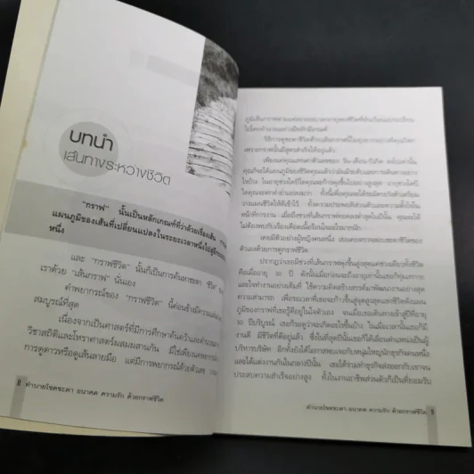 ทำนายโชคชะตา อนาคต ความรัก ด้วยกราฟชีวิต - ศักดิเดช ถิรบุตร รูปที่ 13