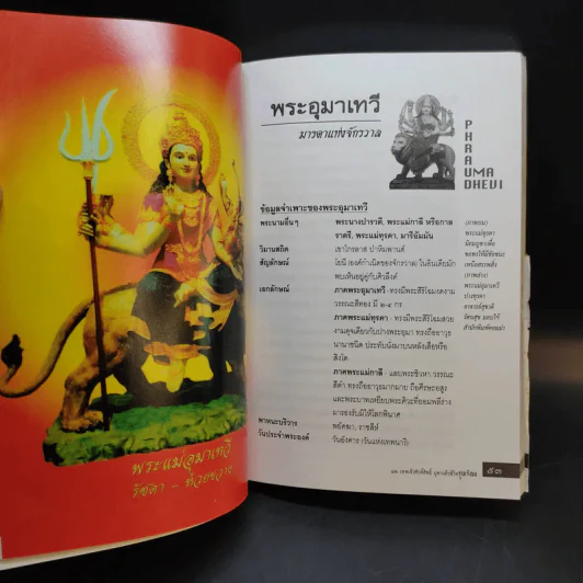12 เทพเจ้าศักดิ์สิทธิ์ บูชาแล้วชีวิตรุ่งเรือง - ทศพล จังพานิชย์กุล รูปที่ 12