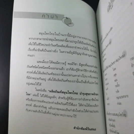 ผลิตภัณฑ์สมุนไพรไทย บำรุงสุขภาพ รักษาโรค - รมย์รวินท์ รูปที่ 9