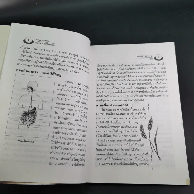 อึบอกชะตา อุจจาระวิทยาการล้างพิษลำไส้ บทบาทใหม่โอลิโกฟรุกโตส - FOS - ปาริชาติ สักกะทำนุ รูปที่ 11