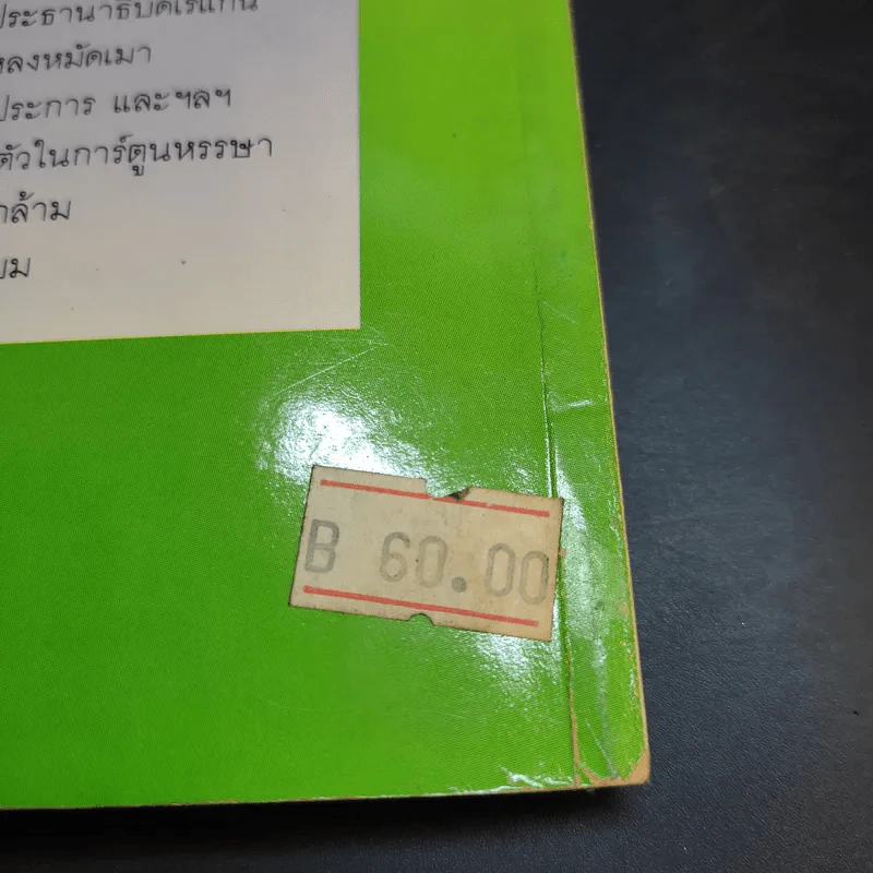 ไซอิ๋ว ฉบับฮาเฮ - ไช่จื้อจง รูปที่ 15