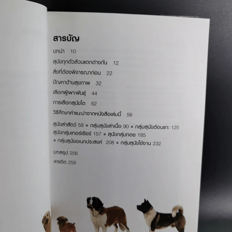 เลือกหมาให้เหมาะกับคุณ - Gwen Bailey O รูปที่ 5