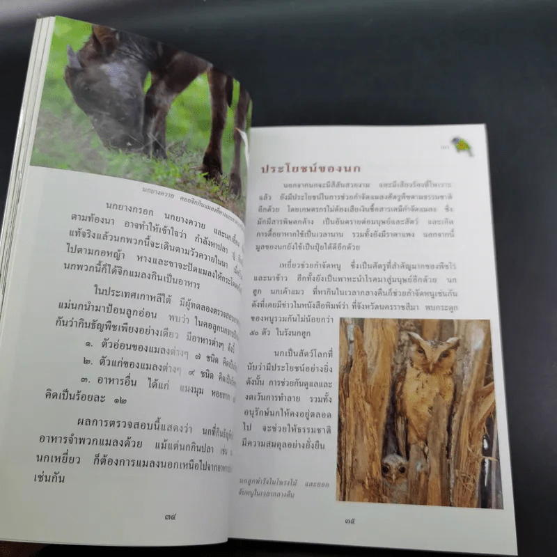สารานุกรมไทยสำหรับเยาวชน เล่ม 7 รูปที่ 13