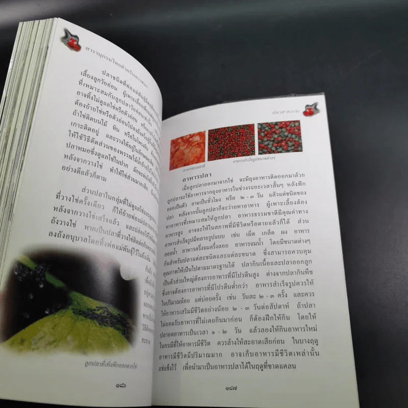 สารานุกรมไทยสำหรับเยาวชน เล่ม 7 รูปที่ 15