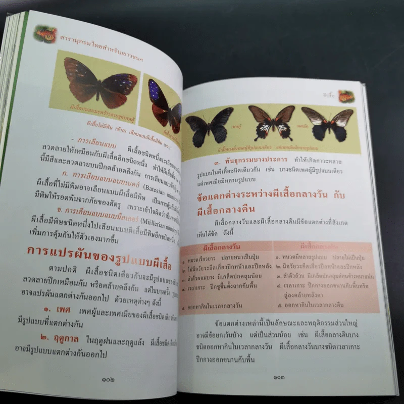 สารานุกรมไทยสำหรับเยาวชน เล่ม 7 รูปที่ 14