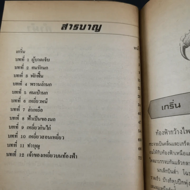 เหยี่ยวขาด้วน - ส.พุ่มสุวรรณ รูปที่ 11