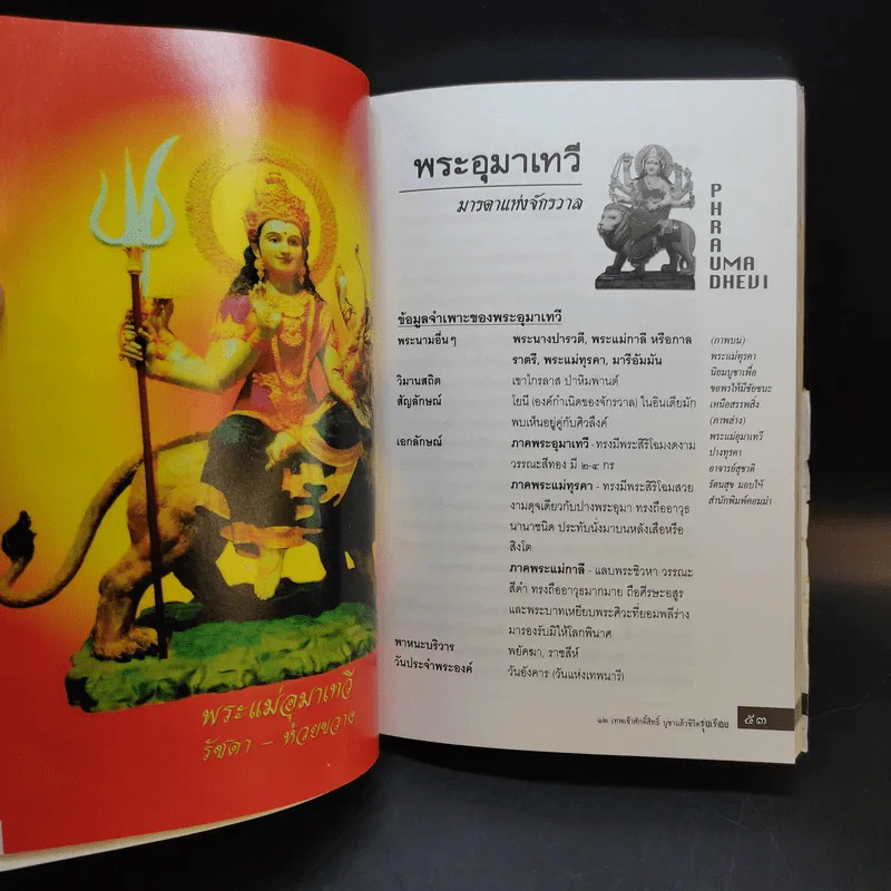 12 เทพเจ้าศักดิ์สิทธิ์ บูชาแล้วชีวิตรุ่งเรือง - ทศพล จังพานิชย์กุล รูปที่ 12