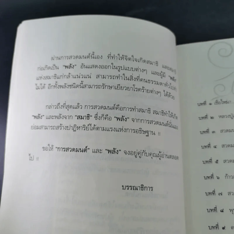 สวดมนต์ล้างพิษ - อัญมณี รูปที่ 11
